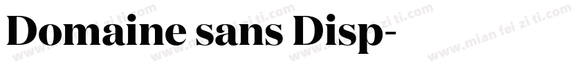 Domaine sans Disp字体转换